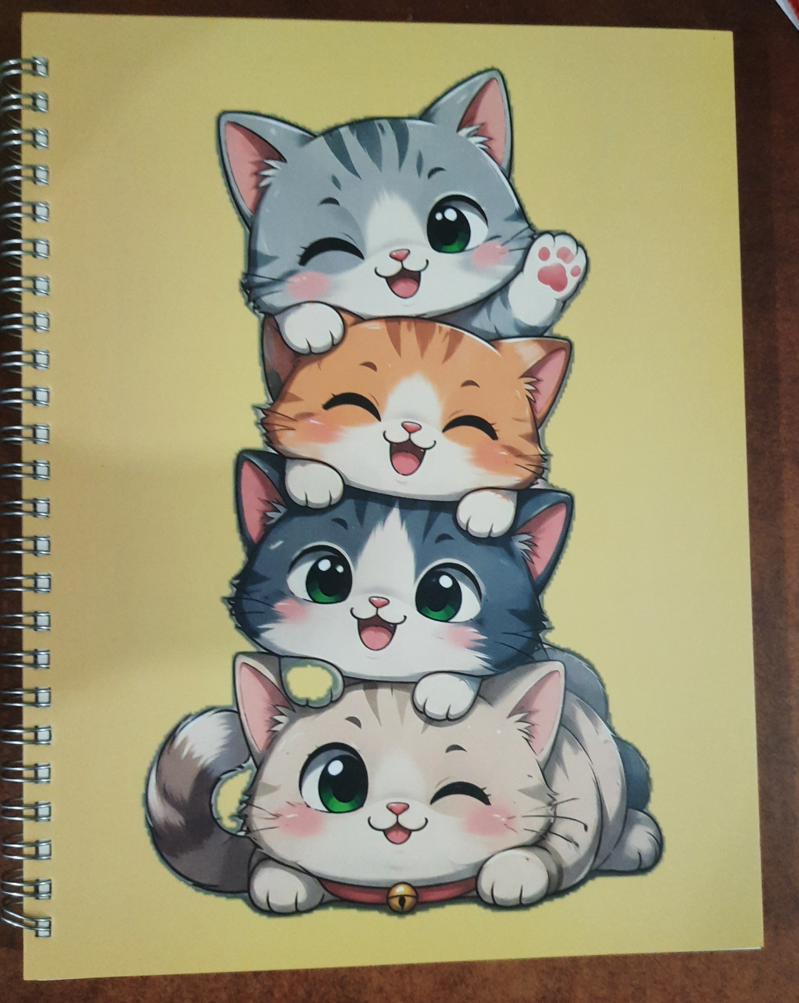 Boi Bichitra Notebook [ 7.4" x 9.8" in] Single Line | 200 Pages (Medium) Spiral